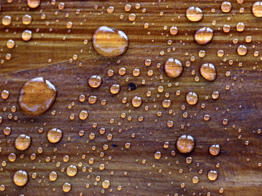 Water beading on a conditioned wood cutting board